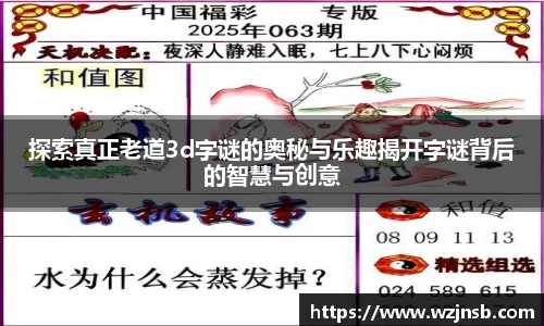 探索真正老道3d字谜的奥秘与乐趣揭开字谜背后的智慧与创意