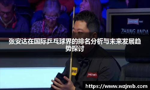 张安达在国际乒乓球界的排名分析与未来发展趋势探讨