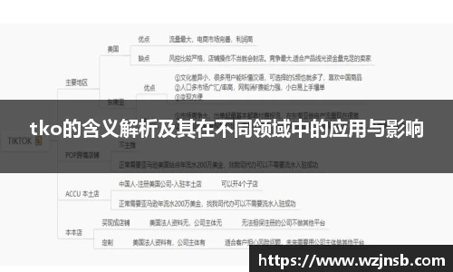 tko的含义解析及其在不同领域中的应用与影响