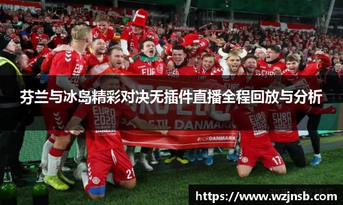 芬兰与冰岛精彩对决无插件直播全程回放与分析